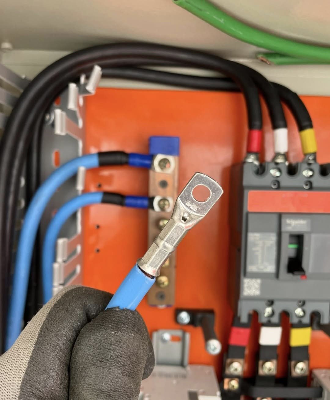 WhatsApp Image 2026-04-05 at 17.33.02